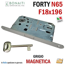 Carica l&#39;immagine nel visualizzatore di Gallery, SERRATURA PER PORTA BONAITI F18X196 Modello N65 CHIAVE PATENT GRIGIO VERNICIATO Entrata 50 Interasse 90 GRIGIA ARGENTO FORTY frontale 196mm 19,6cm LINGUETTA GRIGIA SCROCCO GRIGIO
